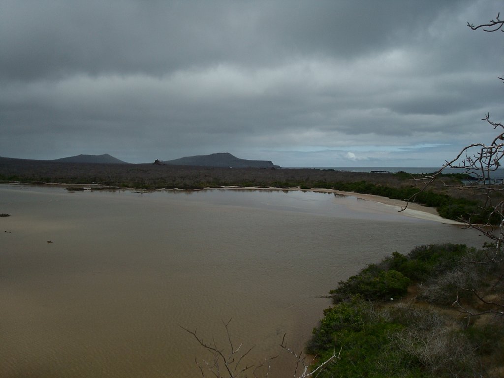 DSC04182.JPG