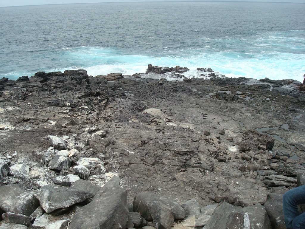 DSC04277.JPG