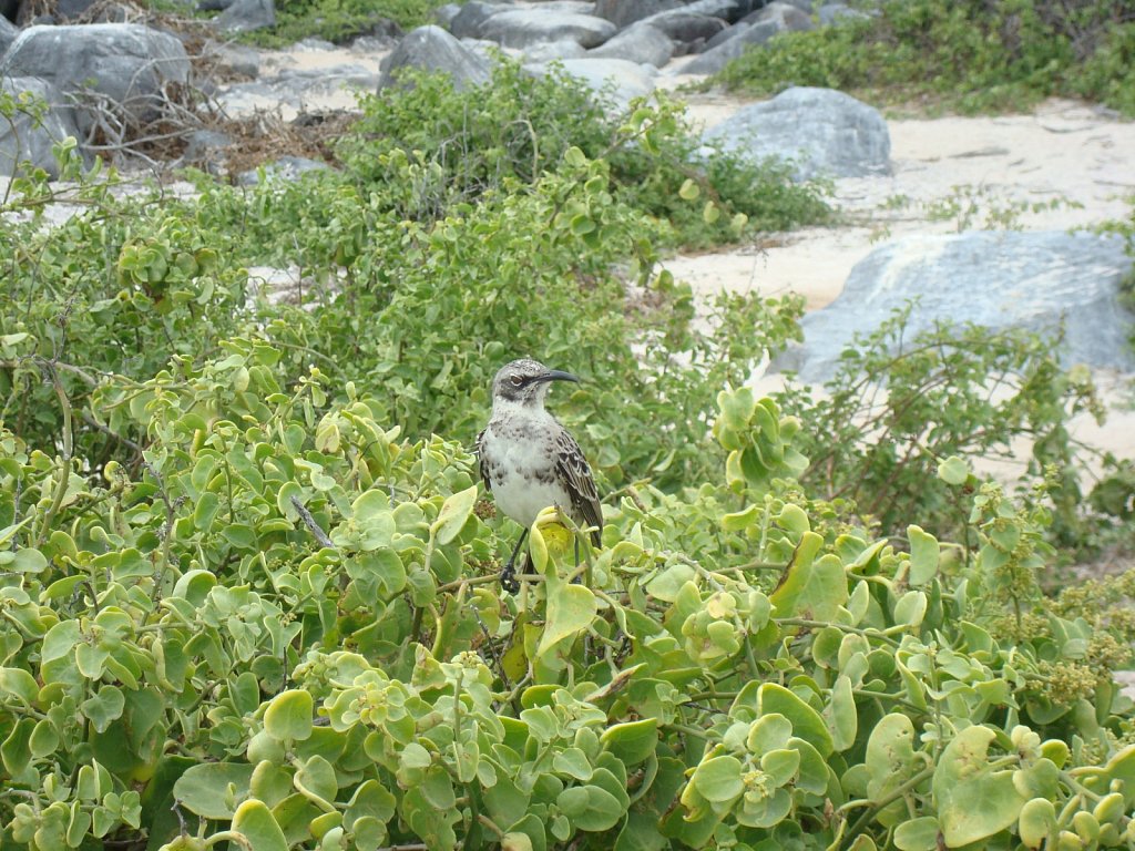 DSC04325.JPG