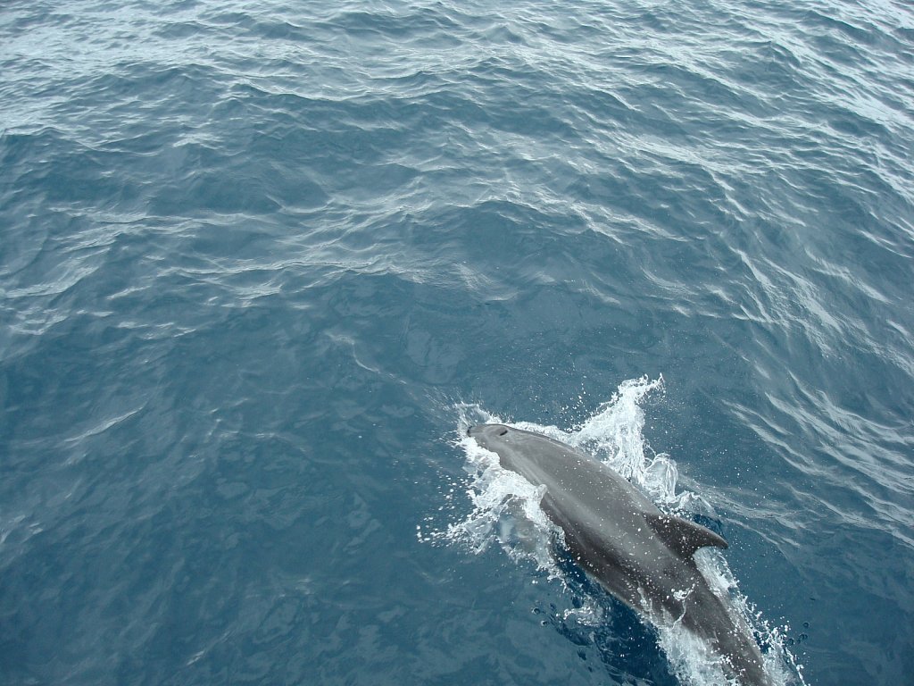 DSC04335.JPG