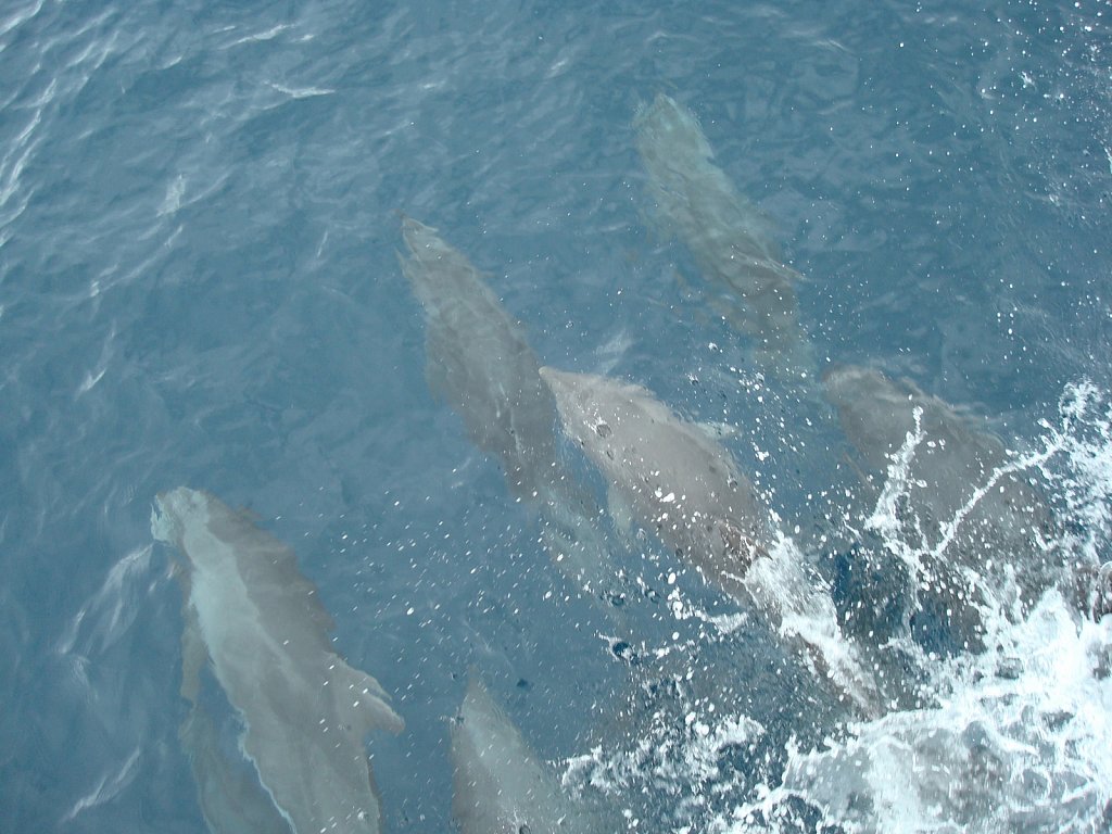 DSC04331.JPG