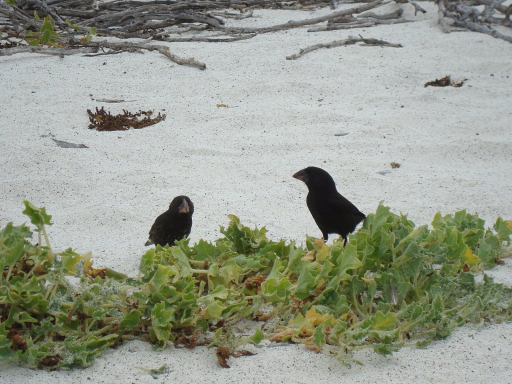 DSC04369.JPG