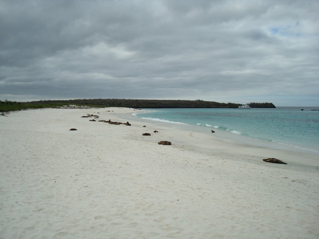 DSC04370.JPG
