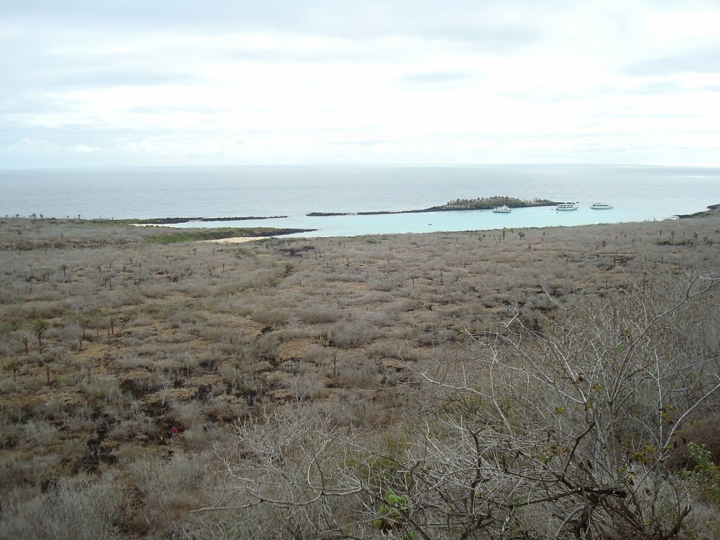 DSC04376.JPG