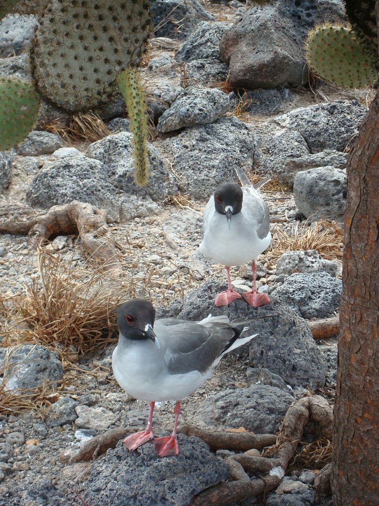 DSC04404.JPG