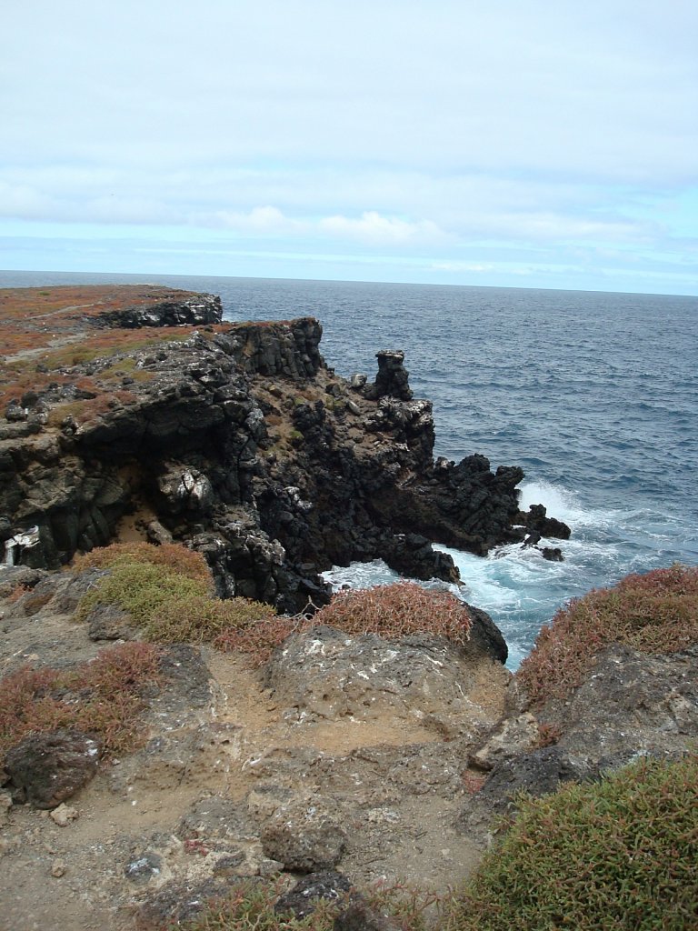 DSC04431.JPG