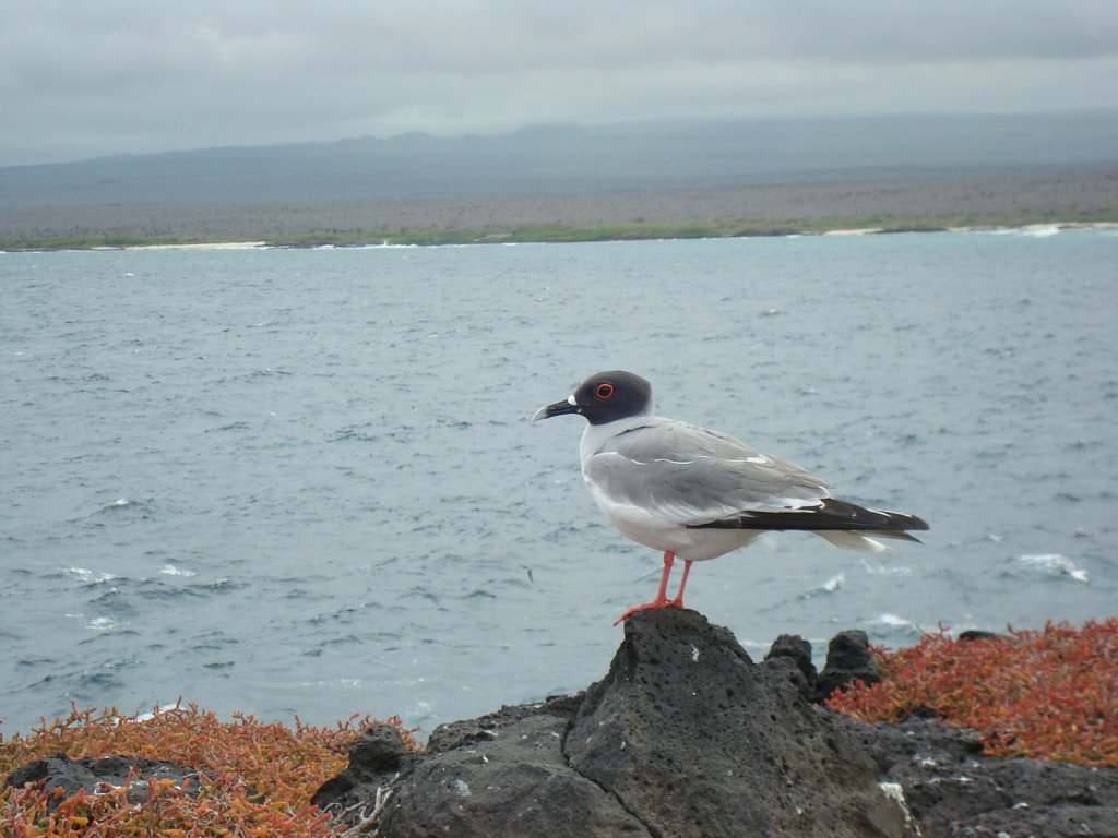DSC04437.JPG
