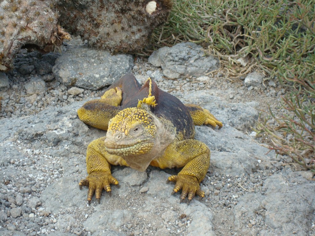 DSC04465.JPG