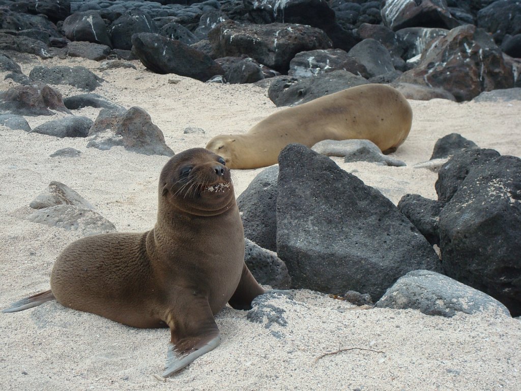 DSC04515.JPG